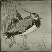 Picture 410 of 459 from International studio (1897), leaf 384