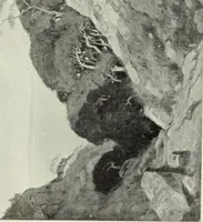 Picture 458 of 459 from International studio (1897), leaf 434