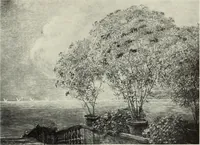 Picture 65 of 459 from International studio (1897), leaf 72