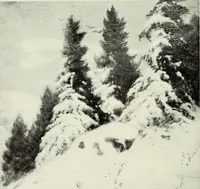 Picture 75 of 459 from International studio (1897), leaf 81
