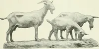 Picture 115 of 439 from International studio (1897), leaf 108