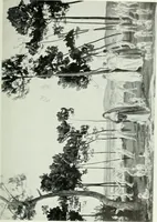 An illustration from International studio (1897)