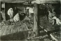Picture 170 of 439 from International studio (1897), leaf 165