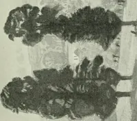 Picture 181 of 439 from International studio (1897), leaf 178