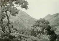 Picture 8 of 439 from International studio (1897), leaf 19