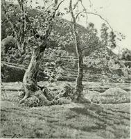 An illustration from International studio (1897)