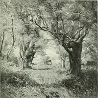 Picture 239 of 439 from International studio (1897), leaf 238