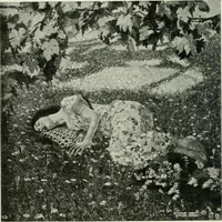Picture 253 of 439 from International studio (1897), leaf 247
