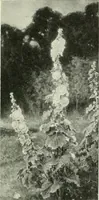 Picture 257 of 439 from International studio (1897), leaf 252