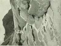 Picture 303 of 439 from International studio (1897), leaf 300