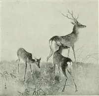 An illustration from International studio (1897)