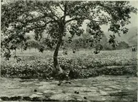An illustration from International studio (1897)