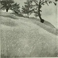 Picture 421 of 439 from International studio (1897), leaf 408
