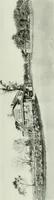 Picture 57 of 439 from International studio (1897), leaf 58