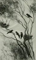Picture 6 of 539 from International studio (1897), leaf 17