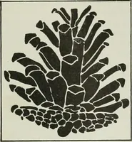 An illustration from International studio (1897)