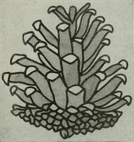 An illustration from International studio (1897)