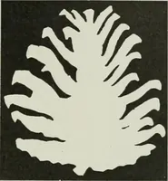 An illustration from International studio (1897)