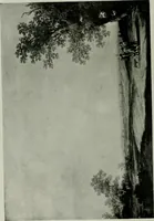 An illustration from International studio (1897)