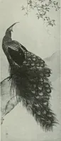 An illustration from International studio (1897)