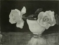 An illustration from International studio (1897)