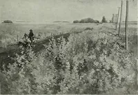 Picture 352 of 539 from International studio (1897), leaf 298