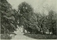 An illustration from International studio (1897)