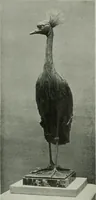 Picture 428 of 539 from International studio (1897), leaf 369