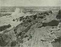 Picture 475 of 539 from International studio (1897), leaf 408