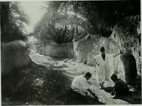Picture 496 of 539 from International studio (1897), leaf 425