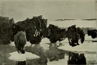 Picture 155 of 561 from International studio (1897), leaf 123