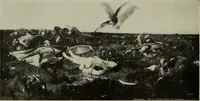 Picture 166 of 561 from International studio (1897), leaf 133
