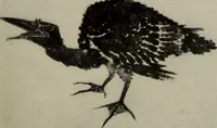 An illustration from International studio (1897)