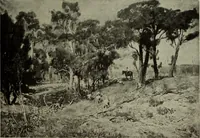 An illustration from International studio (1897)
