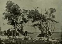 Picture 217 of 561 from International studio (1897), leaf 185