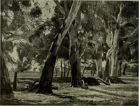 Picture 219 of 561 from International studio (1897), leaf 187
