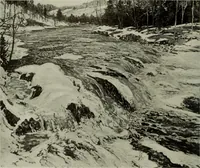 Picture 8 of 561 from International studio (1897), leaf 19