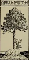 An illustration from International studio (1897)