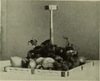 Picture 359 of 561 from International studio (1897), leaf 289