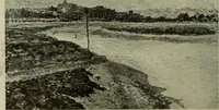 Picture 485 of 561 from International studio (1897), leaf 407
