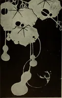An illustration from International studio (1897)