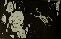 An illustration from International studio (1897)