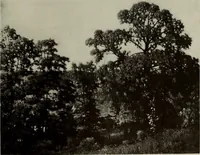An illustration from International studio (1897)
