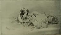 Picture 524 of 561 from International studio (1897), leaf 443