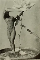 Picture 83 of 561 from International studio (1897), leaf 72