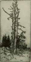 An illustration from International studio (1897)