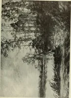 An illustration from International studio (1897)