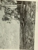An illustration from International studio (1897)