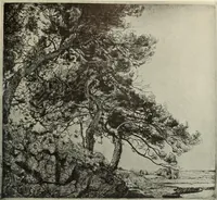 An illustration from International studio (1897)