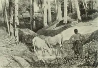 An illustration from International studio (1897)